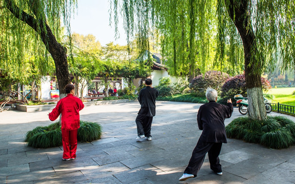 银发老年人在公园打太极拳