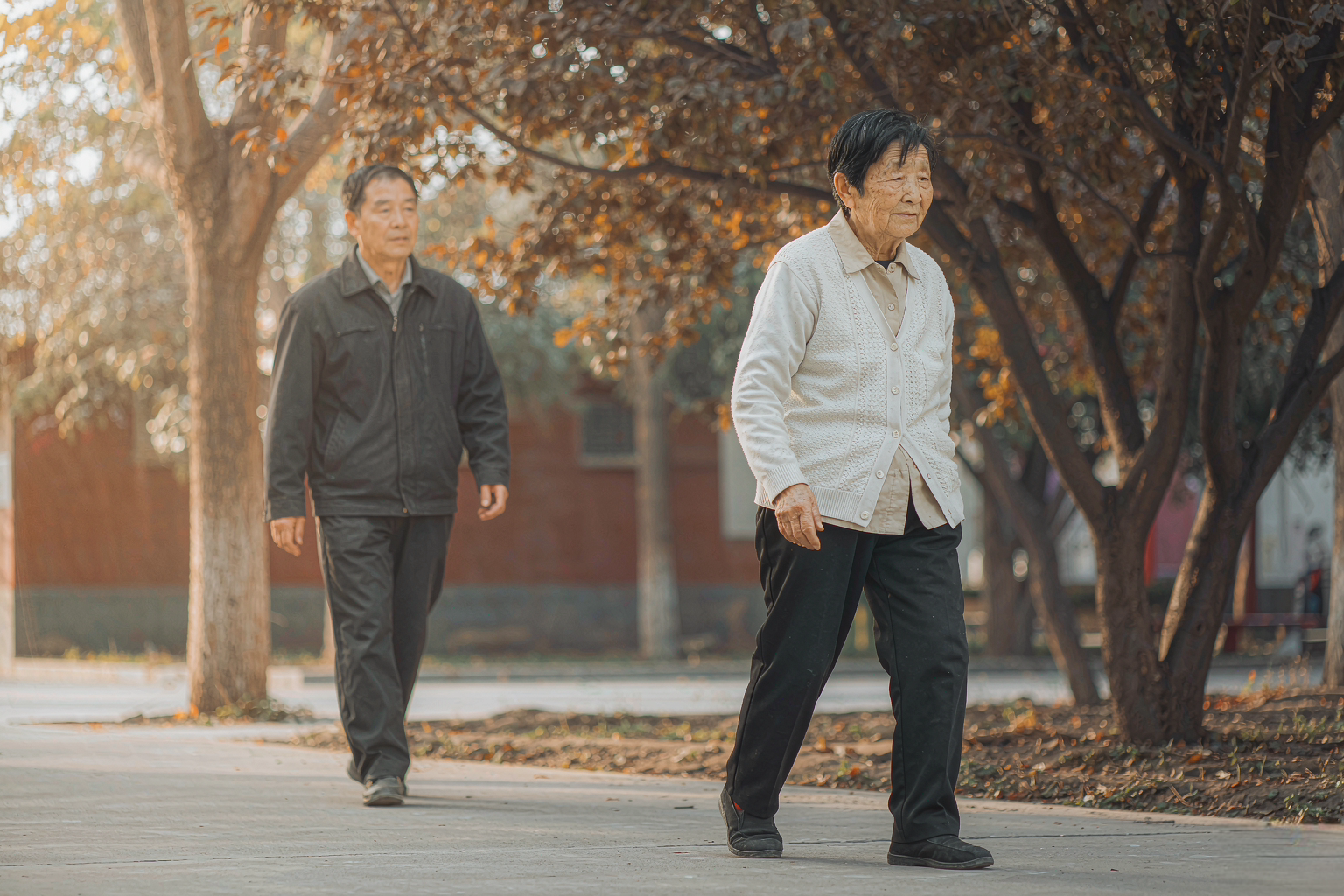认知症生存期影响因素,阿尔茨海默病分期与共病管理 认知症生存期影响因素,阿尔茨海默病分期与共病管理